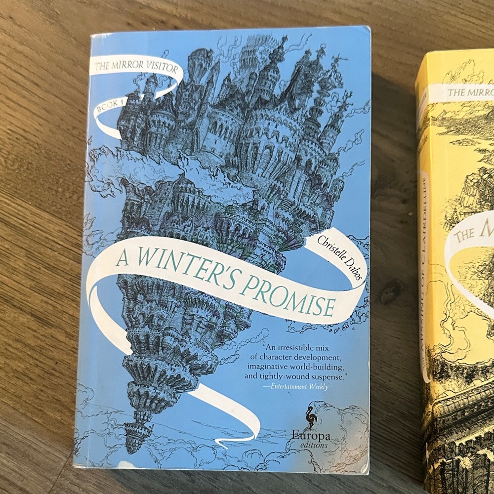 A Winter's Promise — Blue Fantasy Paperback